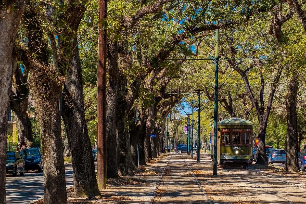 New Orleans Streetcar traveling through live oak trees in New Orleans, Louisiana